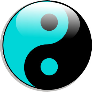 Yin Yang I Ching