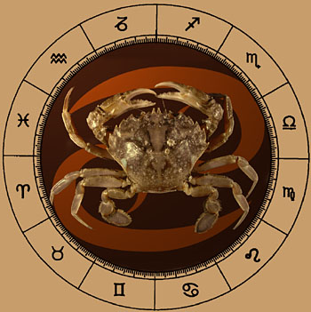 Cancer Zodiac Sign