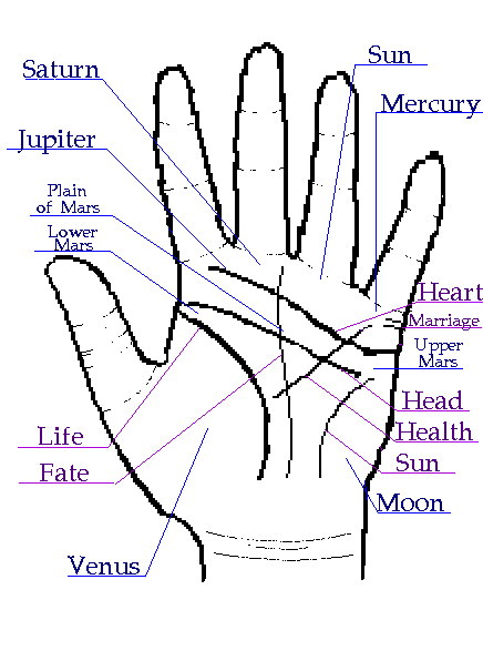 Palm Reading