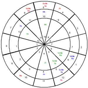 Vedic Astrology Sudarshan Chakra Chart