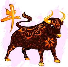 Chinese Ox