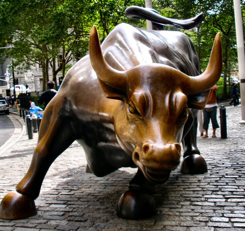 Stock Market Bull