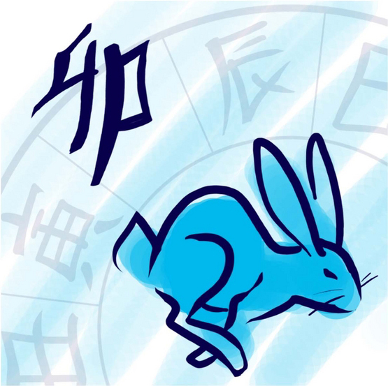 Chinese Rabbit 2017 2016