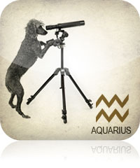 Aquarius Pet Horoscope 2017