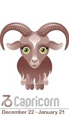 Capricorn Horoscope 2016