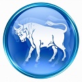 Taurus - The Bull - Zodiac Personality