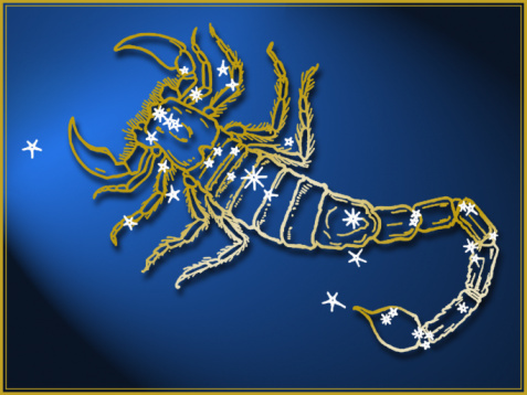 Scorpio - The Scorpion – Zodiac Personality